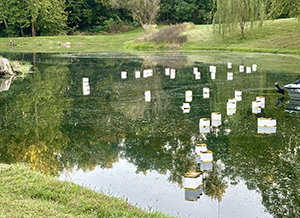 photo of Ruchs Pond